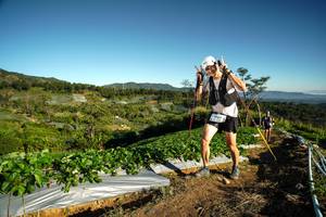 BIB: 
                            <button type="button" onclick="openModal(19117718)" class="btn btn-primary btn-sm float-right btn-popup" data-toggle="modal" data-target=".modal-high-quality">
                        <i class="fas fa-shopping-cart"></i> Add to Cart
                    </button>
                                            <button type="button" onclick="isThisMe(19117718, true)" class="btn btn-success btn-sm float-right btn-popup btn-isme hidden" data-toggle="tooltip" data-placement="bottom" title="นี่คือรูปของคุณใช่ไหม คลิกที่นี่เพื่อเอาเข้าอัลบั้ม">
                        <i class="fas fa-plus"></i> Add to album
                    </button>
                    <button type="button" onclick="isThisMe(19117718, false)" class="btn btn-warning btn-sm float-right btn-popup btn-isnotme hidden">
                        <i class="fas fa-ban"></i> Remove from album
                    </button>